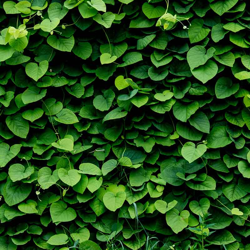 11. Mother Nature (-3 to -20 dB)